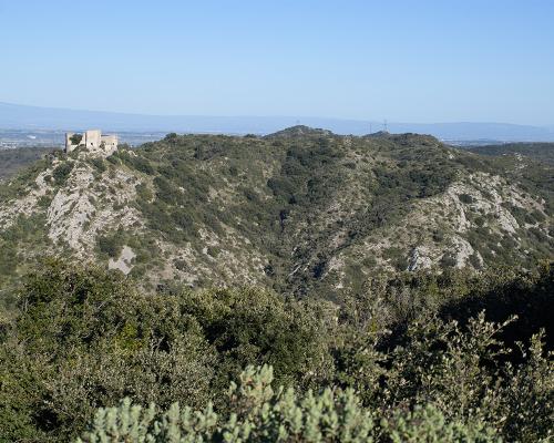 Depuis Canabier