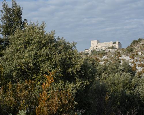 Le Castellas depuis les crêtes