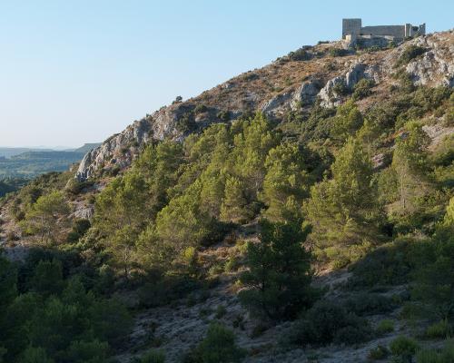Depuis la garrigue