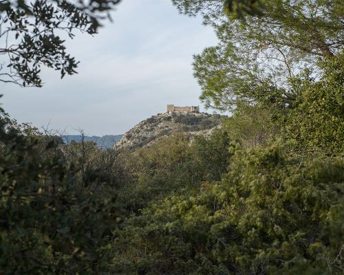 Depuis la garrigue