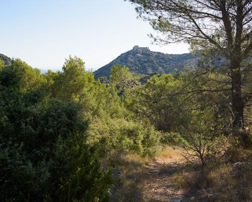 Depuis la garrigue