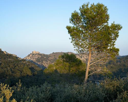Le Castellas
