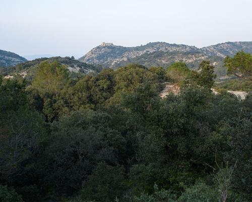 Depuis la garrigue