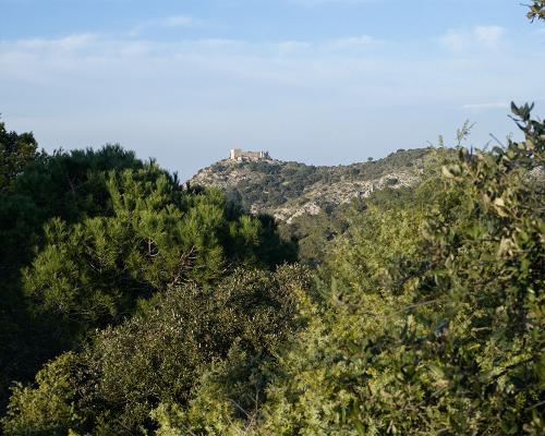 Depuis la garrigue